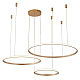 Подвесной светильник Zortes RINGOLIGHT ZRS.33320.75F