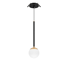 Подвесной светильник Arlight SP-BEADS-HANG-BUILT-T-R100-8W Warm3000 (BK-GD, 180 deg, 230V) 056420