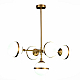 Подвесная люстра ST Luce Arbe SL1157.303.05