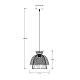 Подвесной светильник Arte Lamp WOODSTOCK A7070SP-1BK