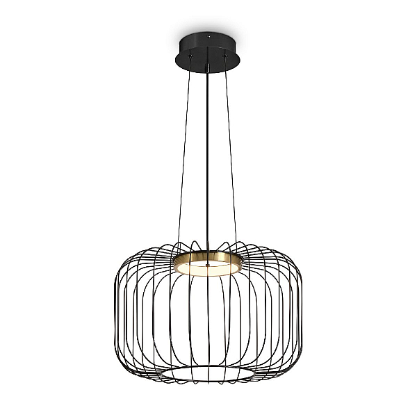 Подвесной светодиодный светильник Freya Citrus FR5398PL-L8B