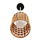Подвесной светильник Lumion Boho Eco 8366/1A