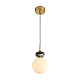 Подвесной светильник Freya Modern Cave FR5631PL-01BS1