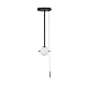 Подвесной светильник Loft IT Signal 10029PS Black