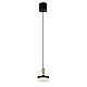 Подвесной светильник Delight Collection P0855 P0855-1A black