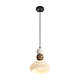 Подвесной светильник Freya Modern Globo FR5628PL-01BGW1