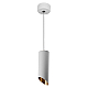 Подвесной светильник Feron Barrel tilt ML1828 48042