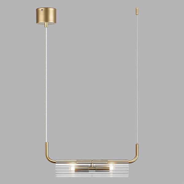 Подвесной светильник Lumion Suspentioni Toronto 6560/2