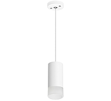 Подвесной светильник Lightstar Rullo RP43631 (214436+590056+202431)
