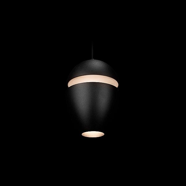 Подвесной светильник Loft IT Viterbo 10336 Black