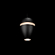 Подвесной светильник Loft IT Viterbo 10336 Black