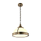 Подвесной светильник Arte Lamp A8077SP-1AB