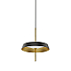 Подвесной светильник DeLight Collection MD18001061-1A  black/gold