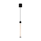 Подвесной светильник Maytoni Ray P022PL-L10B
