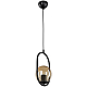 Подвесной светильник Toplight Kerrie TL1609H-01BK