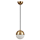 Подвесной светильник Odeon Light Pendant Pinga 4960/1