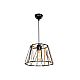 Подвесной светильник Toplight Georgiana TL1607H-01BK
