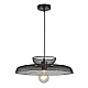 Подвесной светильник Arte Lamp CASTELLO A7066SP-1BK