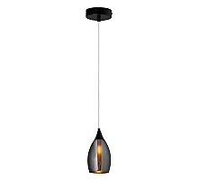 Подвесной светильник Arte Lamp Barry A7951SP-1BK