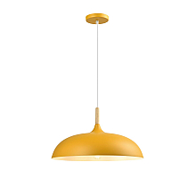 Подвесной светильник Moderli Hygo V11450-1P