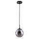 Подвесной светильник Arte Lamp Tureis A9915SP-1BK