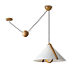 Потолочный светильник Freya Modern FR5554CL-01T