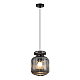Подвесной светильник Odeon Light JUGI 5042/1B