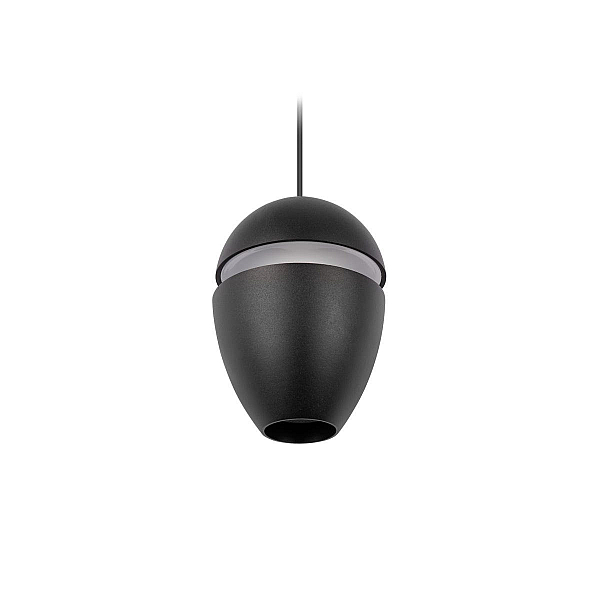 Подвесной светильник Loft IT Viterbo 10336 Black