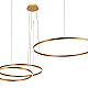 Подвесной светодиодный светильник Loft IT Ring 10017/3M