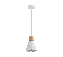 Подвесной светильник Lumion Suspentioni Eoliana 8352/1B