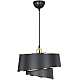 Подвесной светильник Toplight Adriana TL1621H-01BK
