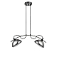 Подвесной светильник Vele Luce Musicista VL5462P22