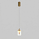 Подвесной светильник Eurosvet Palm 201056/1 LED латунь a072228