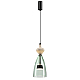 Подвесной светильник Odeon Light PALLETA 5046/12LC