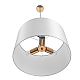 Подвесной светильник Lumion Classi Mikimito 8418/3A