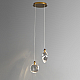 Подвесной светильник Delight Collection Colvin MT9176-2H titanium gold