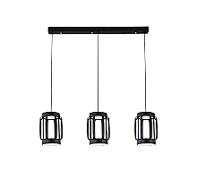 Подвесной светильник Indigo Capsula 14027/6P Black V000157L