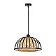 Подвесной светильник Arte Lamp WOODSTOCK A7071SP-1BK