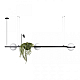 Подвесной светильник LOFT IT Jardin 10121/C