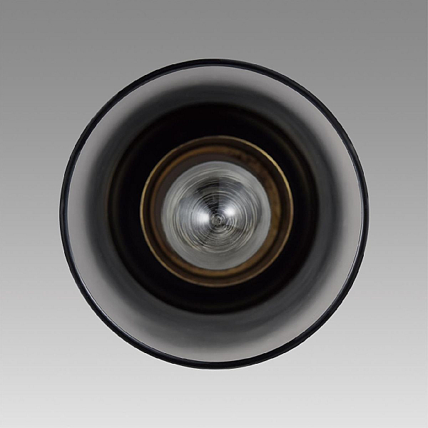 Подвесной светильник Lumion Comfi Isha 8101/1A