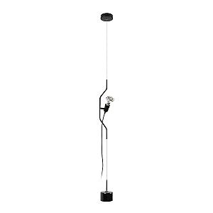 Подвесной светильник Loft IT Parentesi 10346/1 Black