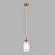 Подвесной светильник Lumion Moderni Dea 8439/1C