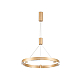 Подвесной светодиодный светильник Ambrella light Comfort Line FL5846