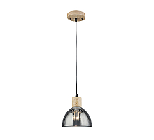 Подвесной светильник Arte Lamp Lancaster A5869SP-1BK
