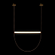 Подвесной светодиодный светильник Loft IT Liana 10221/1250