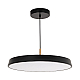 Подвесной светильник Arlight SP-ELEGANT-R500-37W Day4000 (BK, 120 deg, 230V) 033923(1)