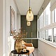 Подвесной светильник Vele Luce Placido VL5055P14