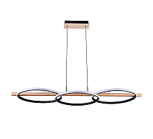 Подвесная люстра Arte Lamp Fluido A3913SP-24BK