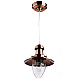 Подвесной светильник Arte Lamp Fisherman A5518SP-1RB