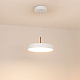 Подвесной светодиодный светильник Arlight SP-Elegant-R300-17W Warm3000 033914(1)